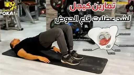 الأخبار