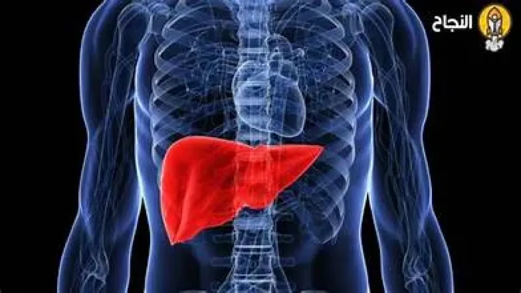 أمراض الكبد