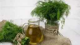 التغذية والدايت