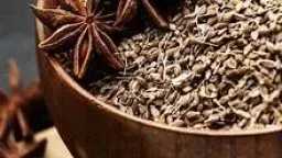 الطب البديل