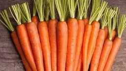 التغذية والدايت