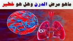 الأخبار