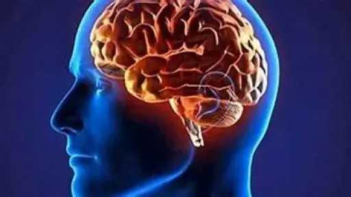 التغذية والدايت