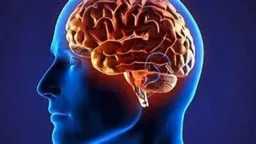 التغذية والدايت