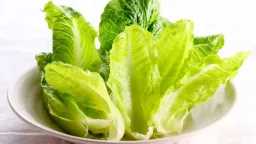 التغذية والدايت