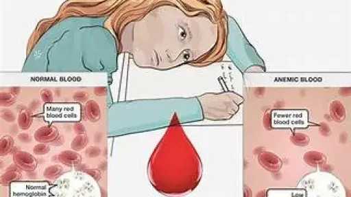 التغذية والدايت