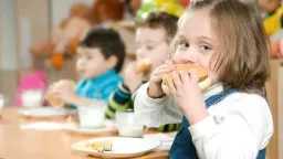 التغذية والدايت