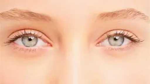 التغذية والدايت