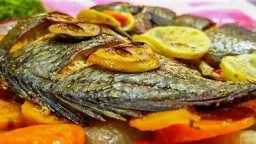 التغذية والدايت