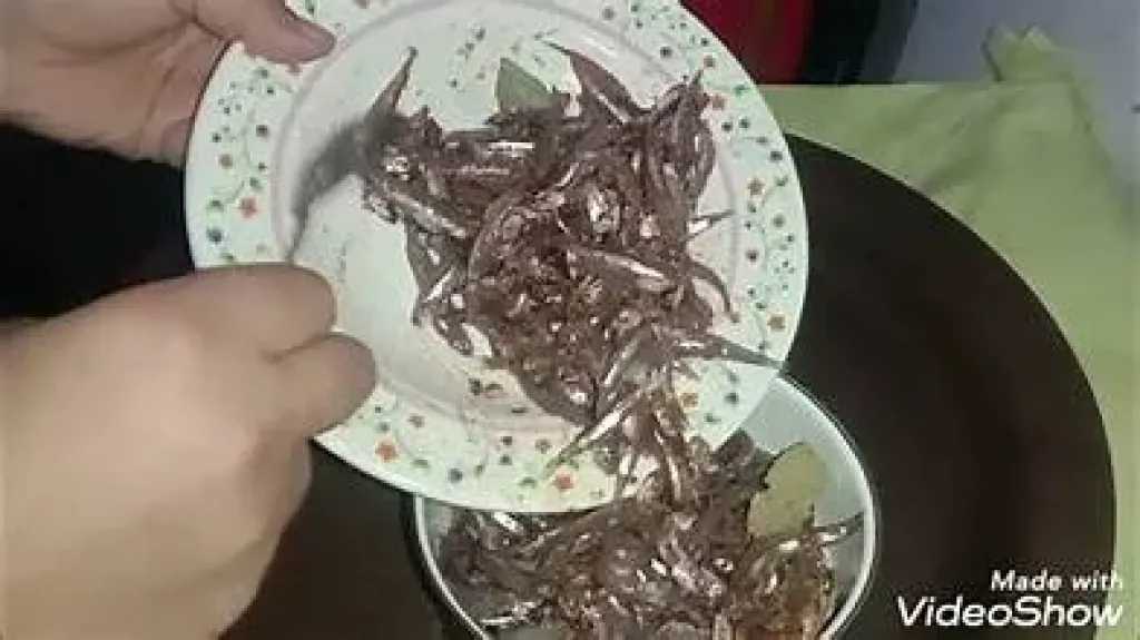 التغذية والدايت