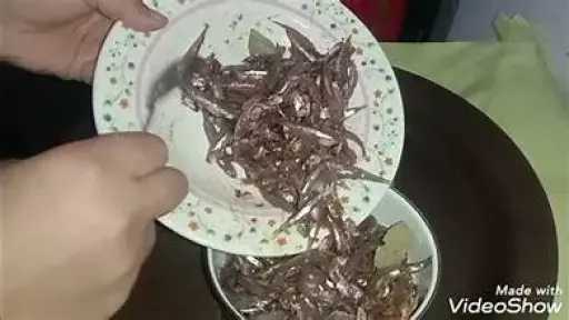 التغذية والدايت