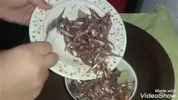 التغذية والدايت