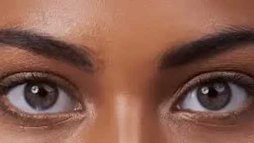 التغذية والدايت