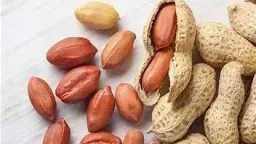 التغذية والدايت