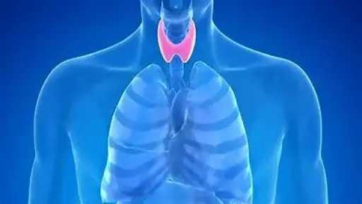 التغذية والدايت