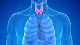 التغذية والدايت