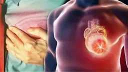 التغذية والدايت