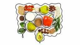 التغذية والدايت