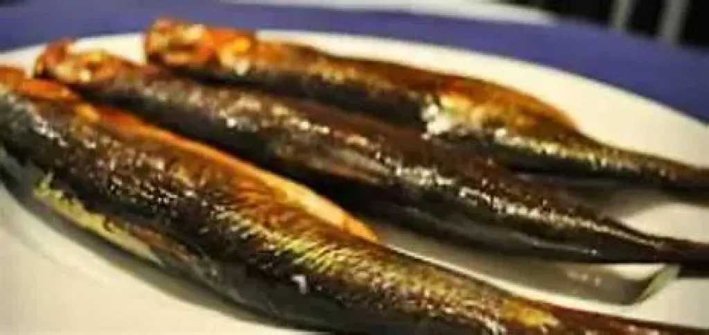 التغذية والدايت