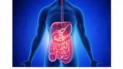 التغذية والدايت