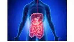 التغذية والدايت