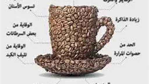 التغذية والدايت