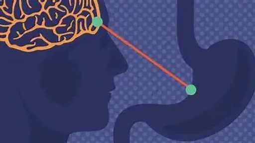 التغذية والدايت