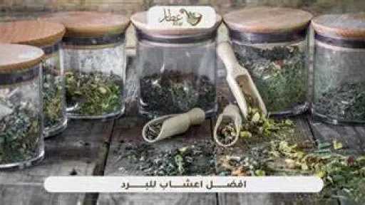 التغذية والدايت