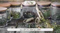 التغذية والدايت