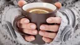 التغذية والدايت