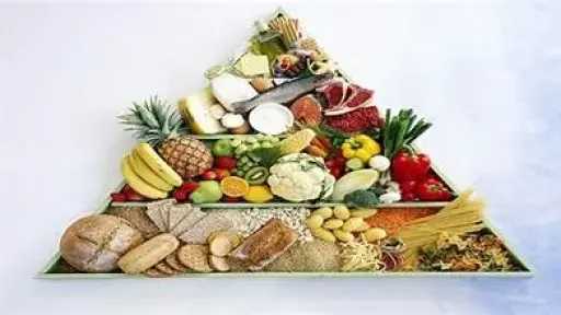 التغذية والدايت