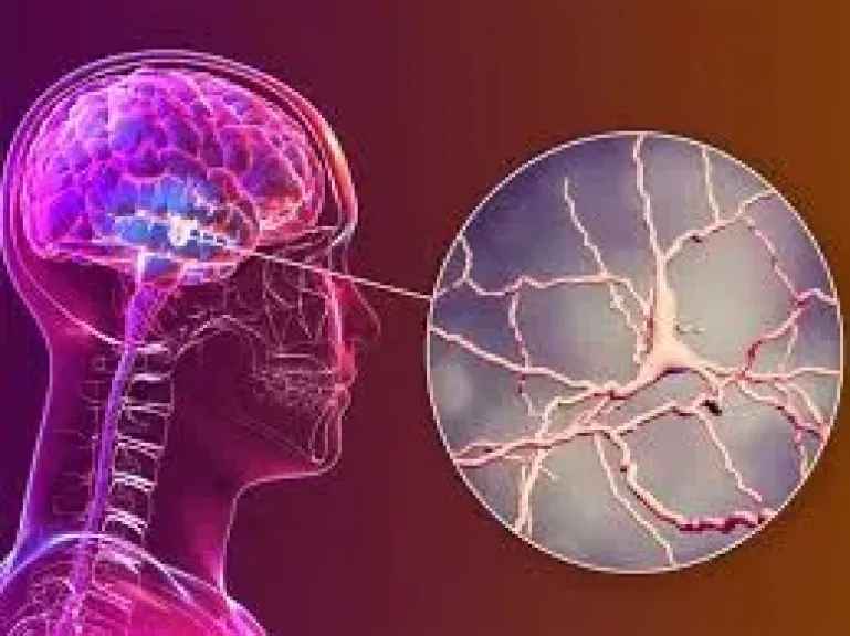 دراسة: قدرة الدماغ على التحمل