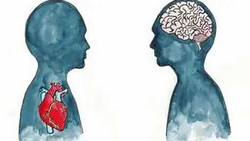 التغذية والدايت