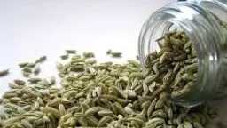 التغذية والدايت