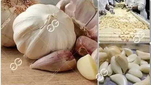 التغذية والدايت