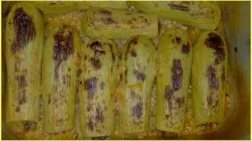 التغذية والدايت