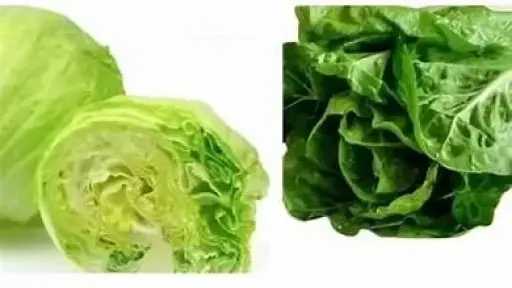 التغذية والدايت