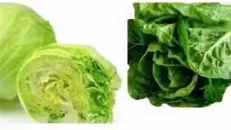 التغذية والدايت