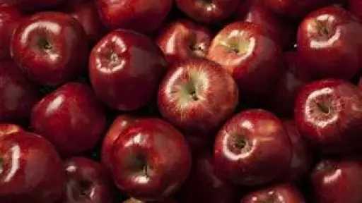 التغذية والدايت