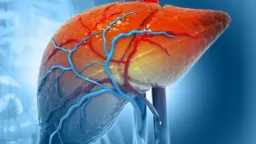 التغذية والدايت