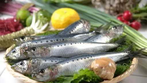 التغذية والدايت