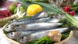 التغذية والدايت