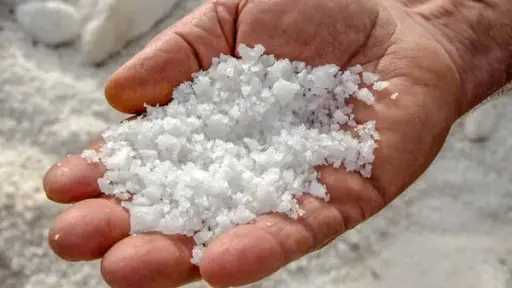 التغذية والدايت