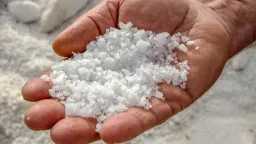 التغذية والدايت