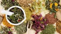 التغذية والدايت