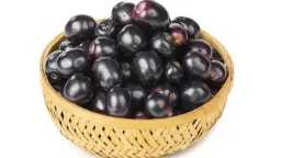 التغذية والدايت