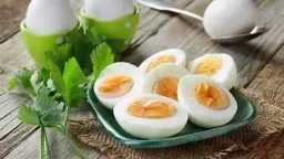 التغذية والدايت