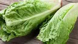 التغذية والدايت