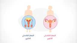 الأخبار