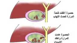 الأخبار